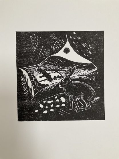 Hare hideout - Image 4