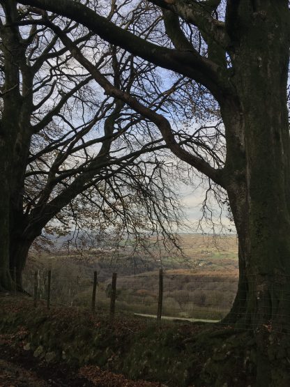 The Valley Below - Image 7