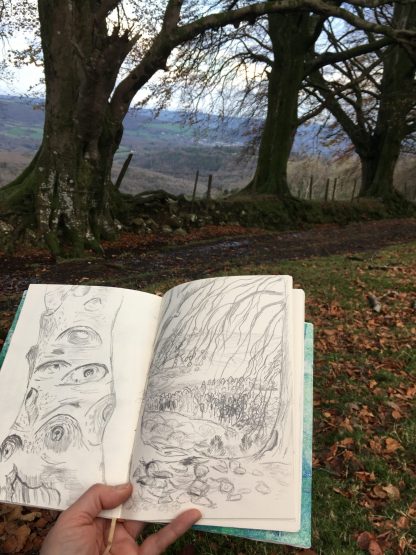 The Valley Below - Image 6