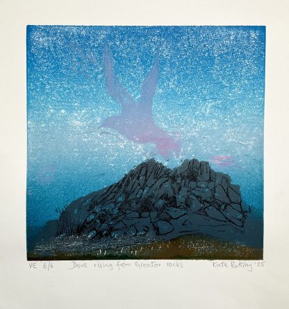 Dove rising from Greator rocks - Image 6