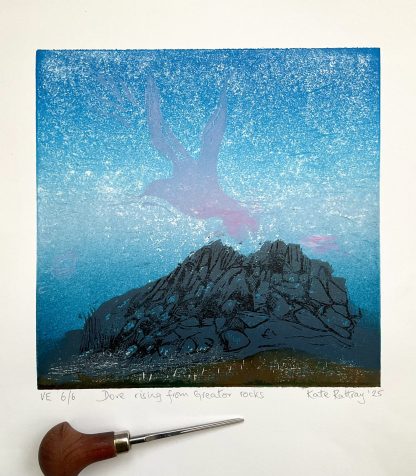 Dove rising from Greator rocks - Image 5