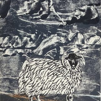 Lone Sheep collage