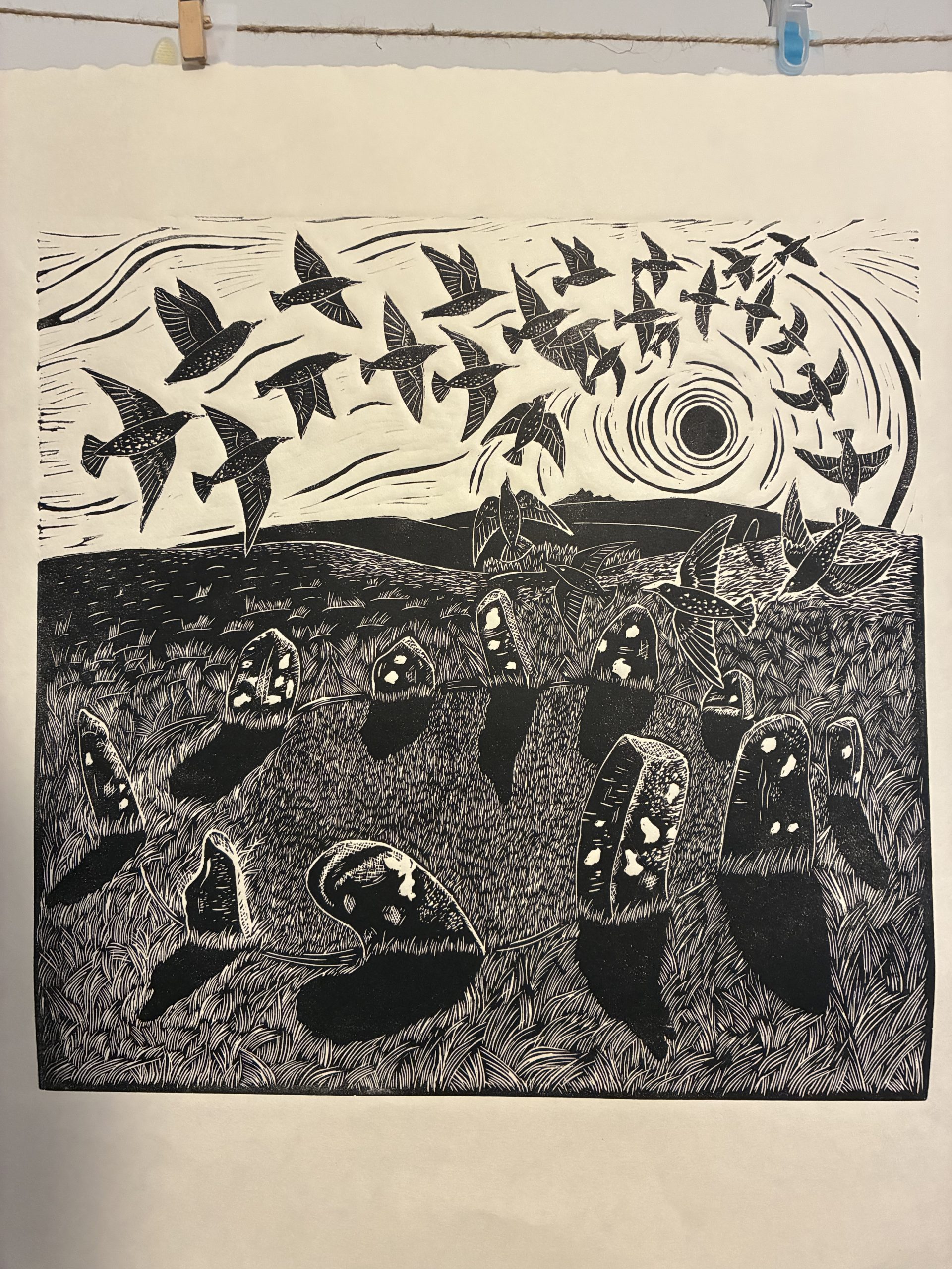 Stones and Starlings