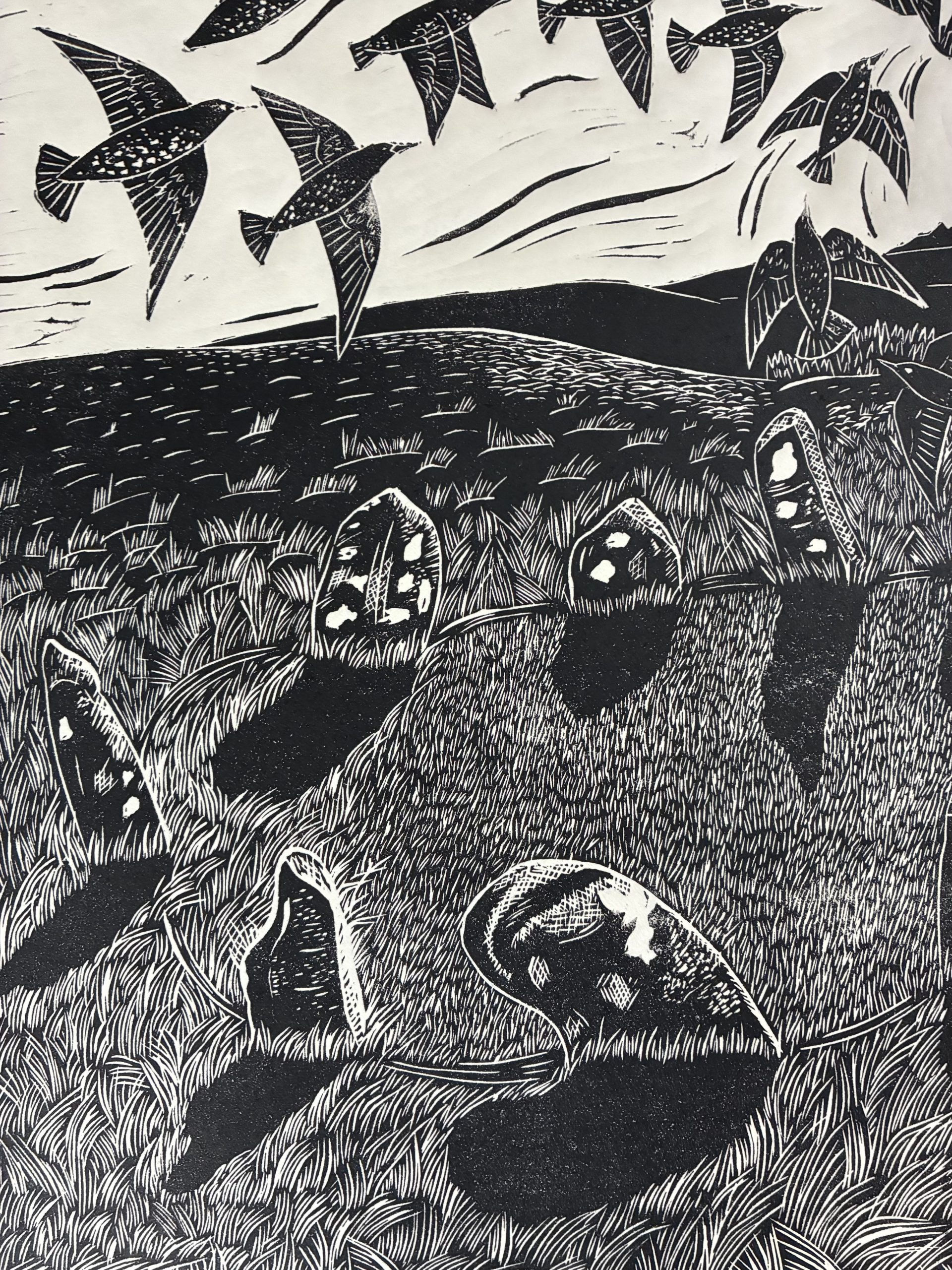 Stones and Starlings - Image 5