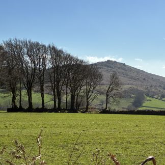 Spring Equinox - Image 9