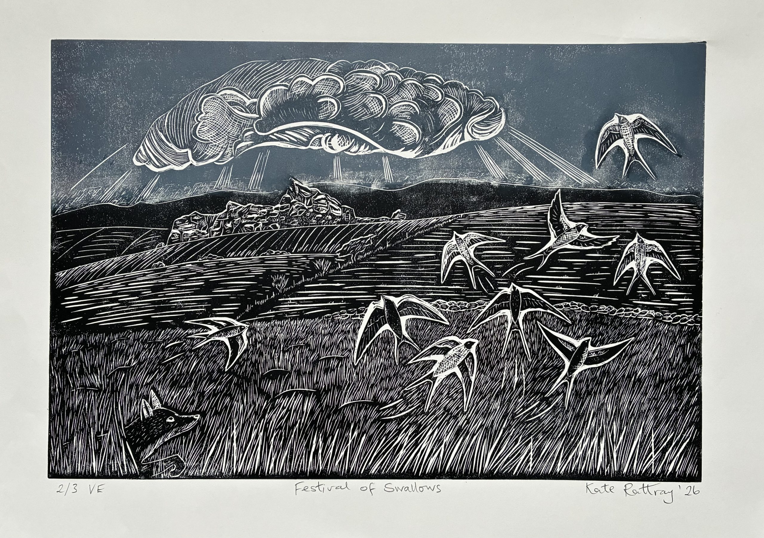 Festival of Swallows - Image 3
