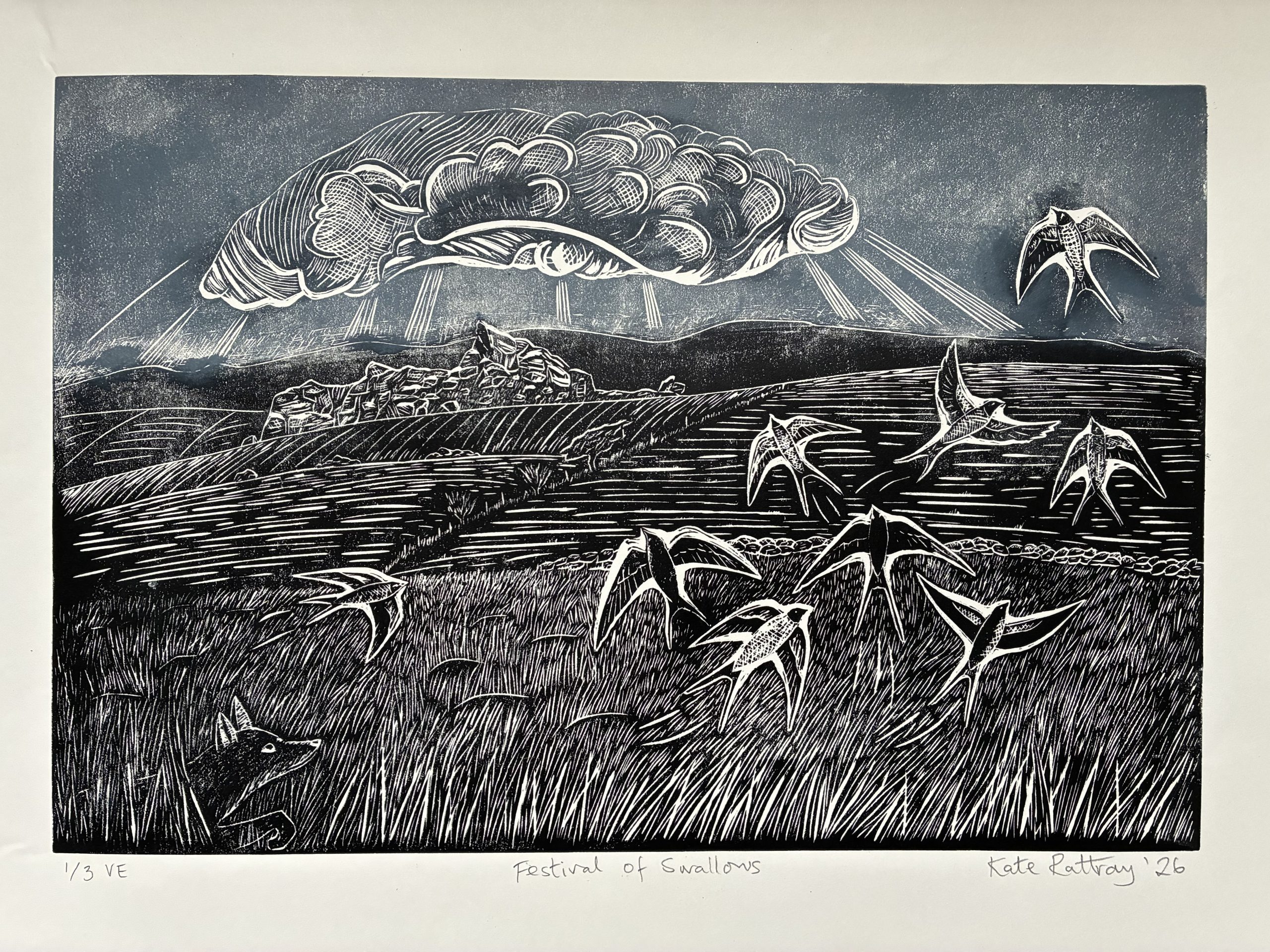 Festival of Swallows - Image 2
