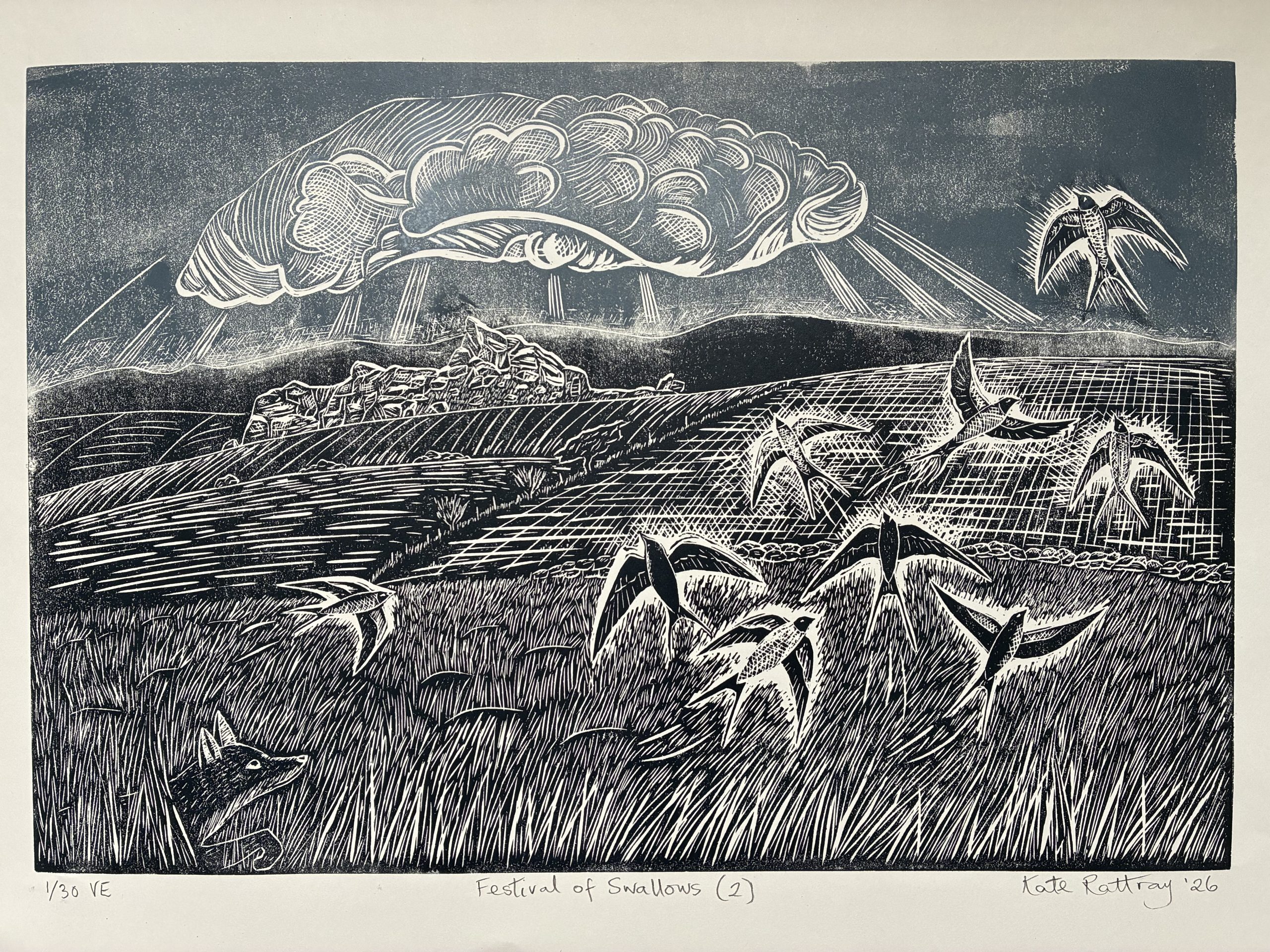 Festival of Swallows - Image 4