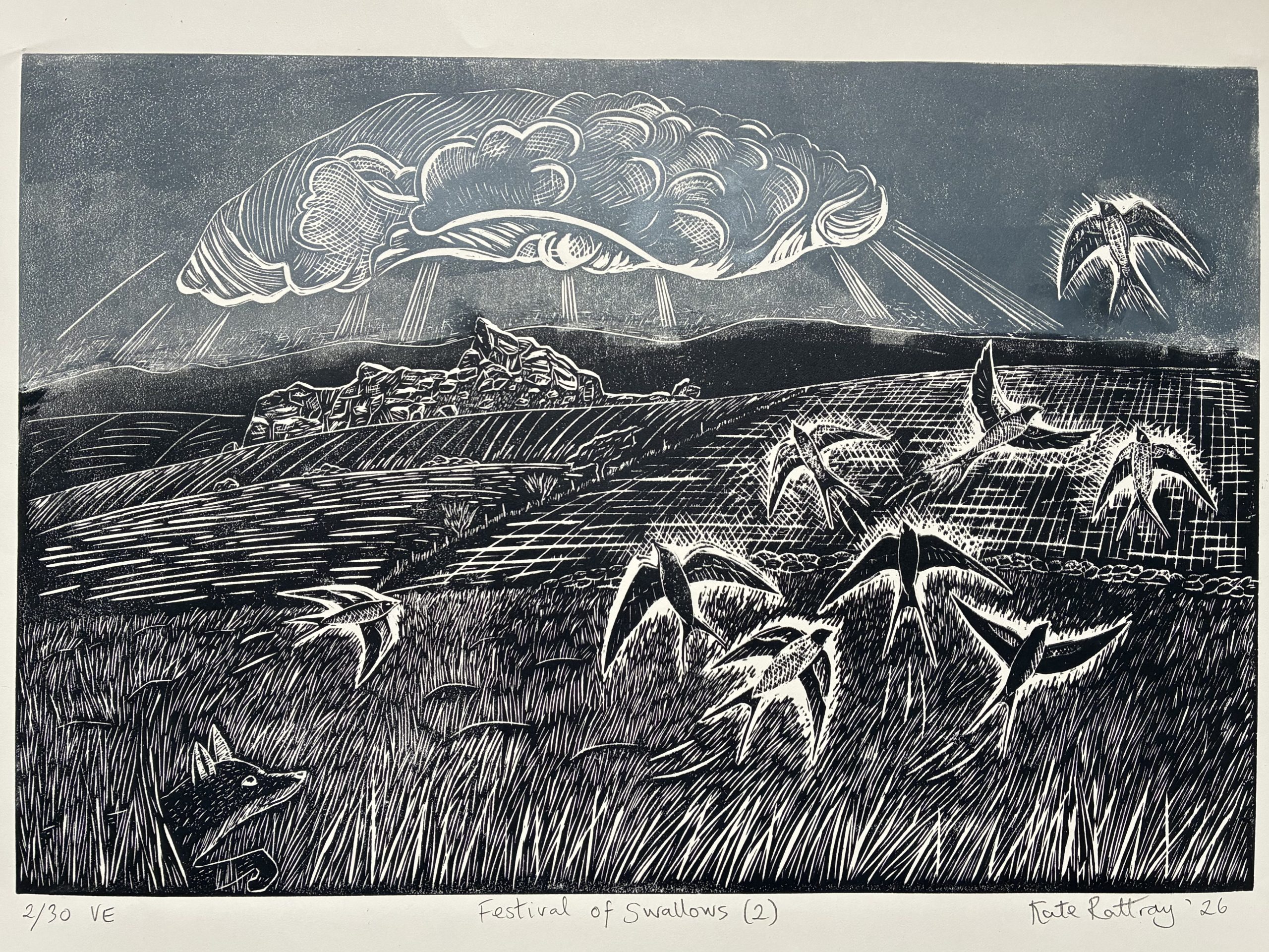 Festival of Swallows - Image 5