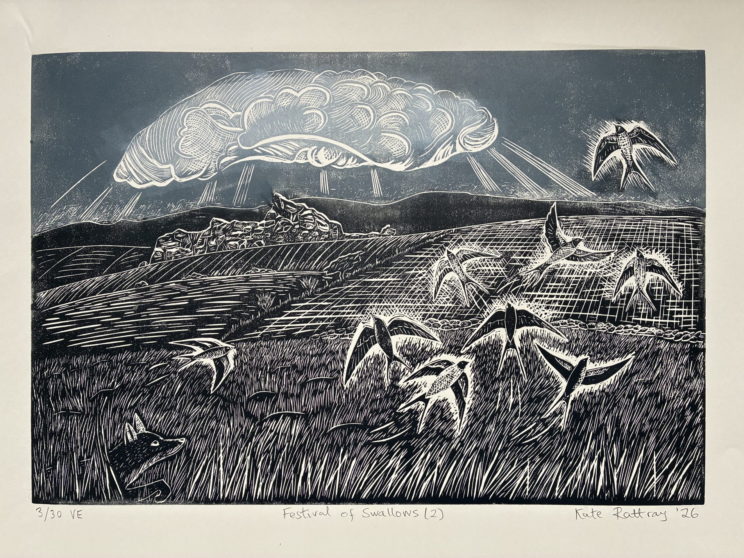 Festival of Swallows - Image 6